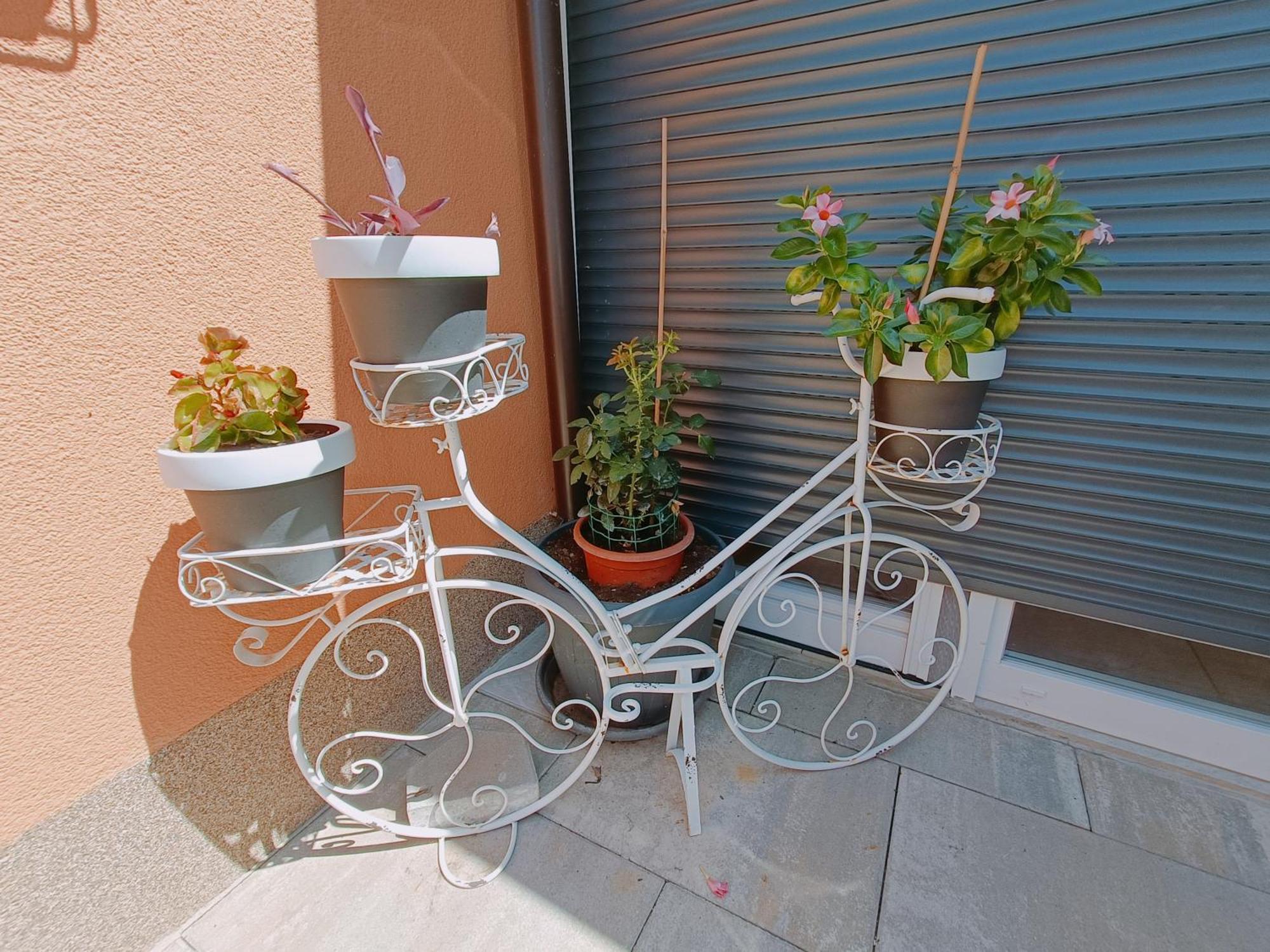 Apartmán Slavica *
